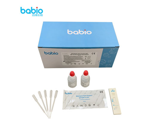 Procedura di test del kit di test IgG/ IgM per Helicobacter pylori (H.pylori).