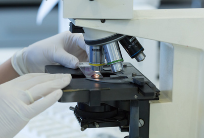 Migliora la precisione microscopica con l'olio dello specchio dell'olio premium di Bodio
