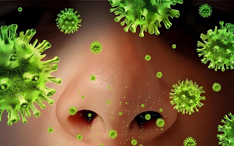 Screening TB rapido e accurato con kit di rilevamento rapido per la tubercolosi della tubercolosi
