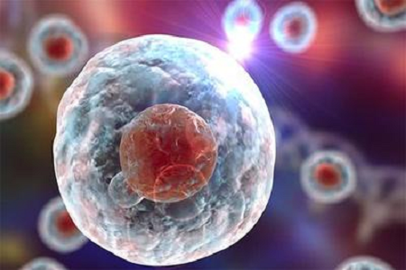 Babio lancia una soluzione Giemsa BAIN B di alta qualità per una diagnostica citogenetica ed ematologica avanzata
