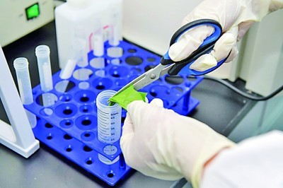 Identificazione batterica affidabile resa semplice con il kit di macchie Gram di Bodio