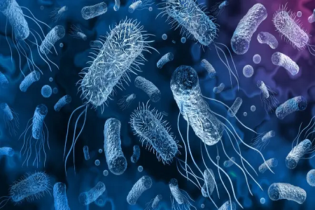Nadio lancia vibrio cholerae kit di rilevamento dell'antigene rapido