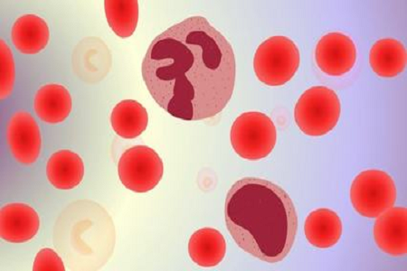 La Bubio migliora la diagnosi di infezione del flusso sanguigno con bottiglia di coltura ematica avanzata