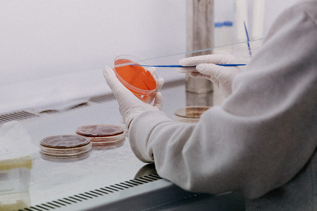 Bodio introduce l'agar di destrosio di patate (USP) per test affidabili e lieviti