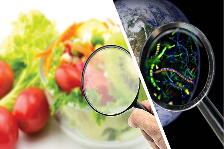BABIO lancia il test rapido a cassetta per l'aflatossina B1 per il controllo globale della sicurezza alimentare