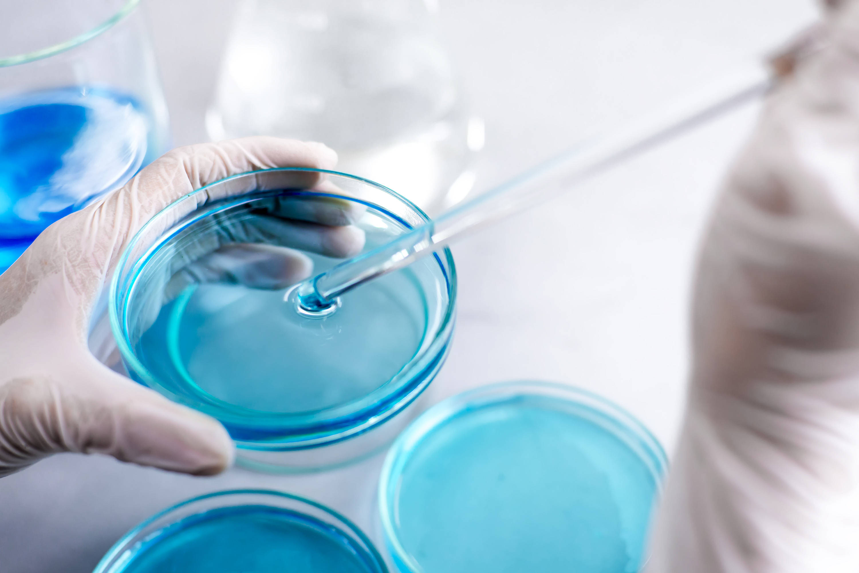L'acqua peptonica tamponata BABIO supporta il pre-arricchimento affidabile degli agenti patogeni alimentari