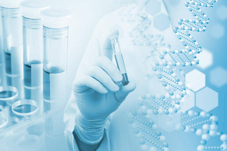 Kit di test IgG/IgM per H. pylori: soluzione per lo screening rapido degli anticorpi