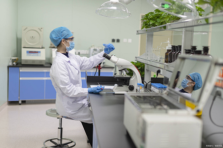 Acqua peptonica tamponata: un inizio affidabile per i test sulla salmonella