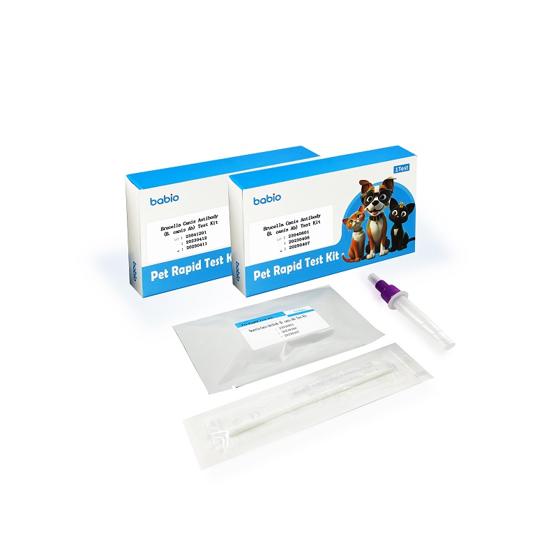 Kit per il test degli anticorpi Brucella Canis (B. canis Ab).