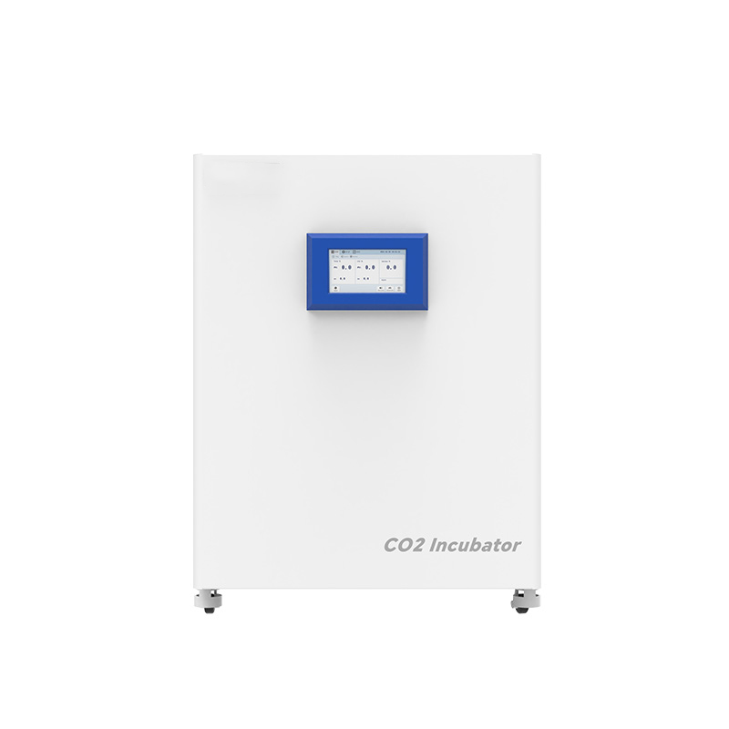 Incubatore a CO2 50L 80L 160L 180L 220L 300L