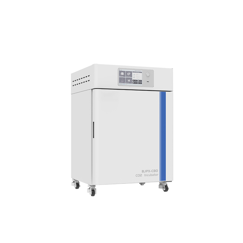 Incubatore a CO2 BJPX-C50 BJPX-C80 BJPX-C160 BJPX-C80S BJPX-C160S