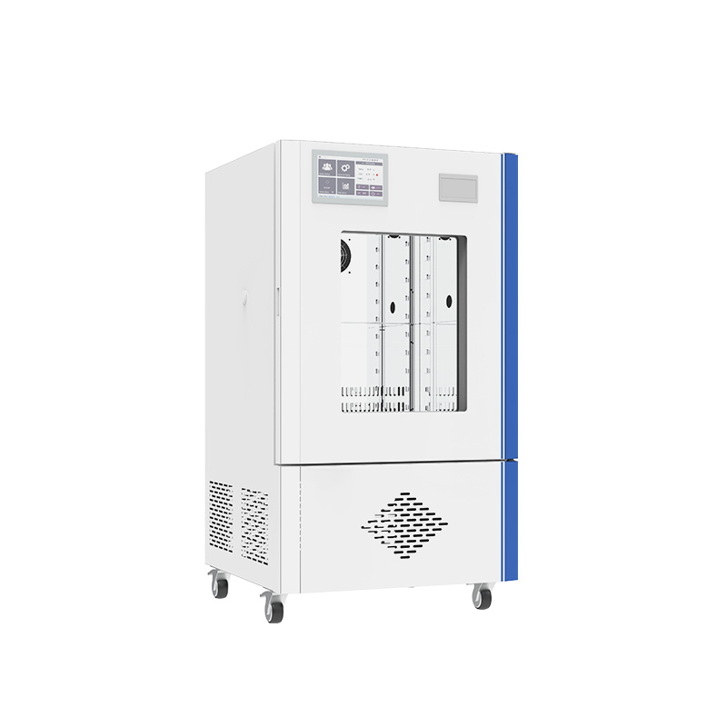 Incubatore a temperatura e umidità costanti (BJPX-HTB)