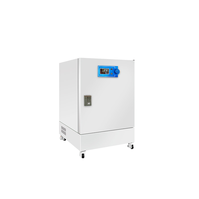 Incubatore a temperatura costante BJPX-H50N BJPX-H105N BJPX-H155N