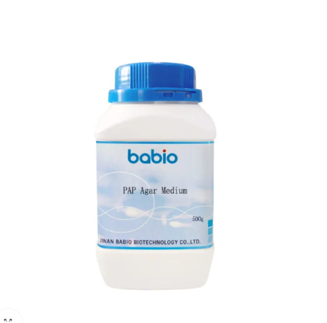 Terreno PAP Agar