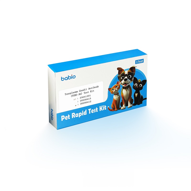 Kit per il test degli anticorpi del Toxoplasma Gondii (TOXO Ab).